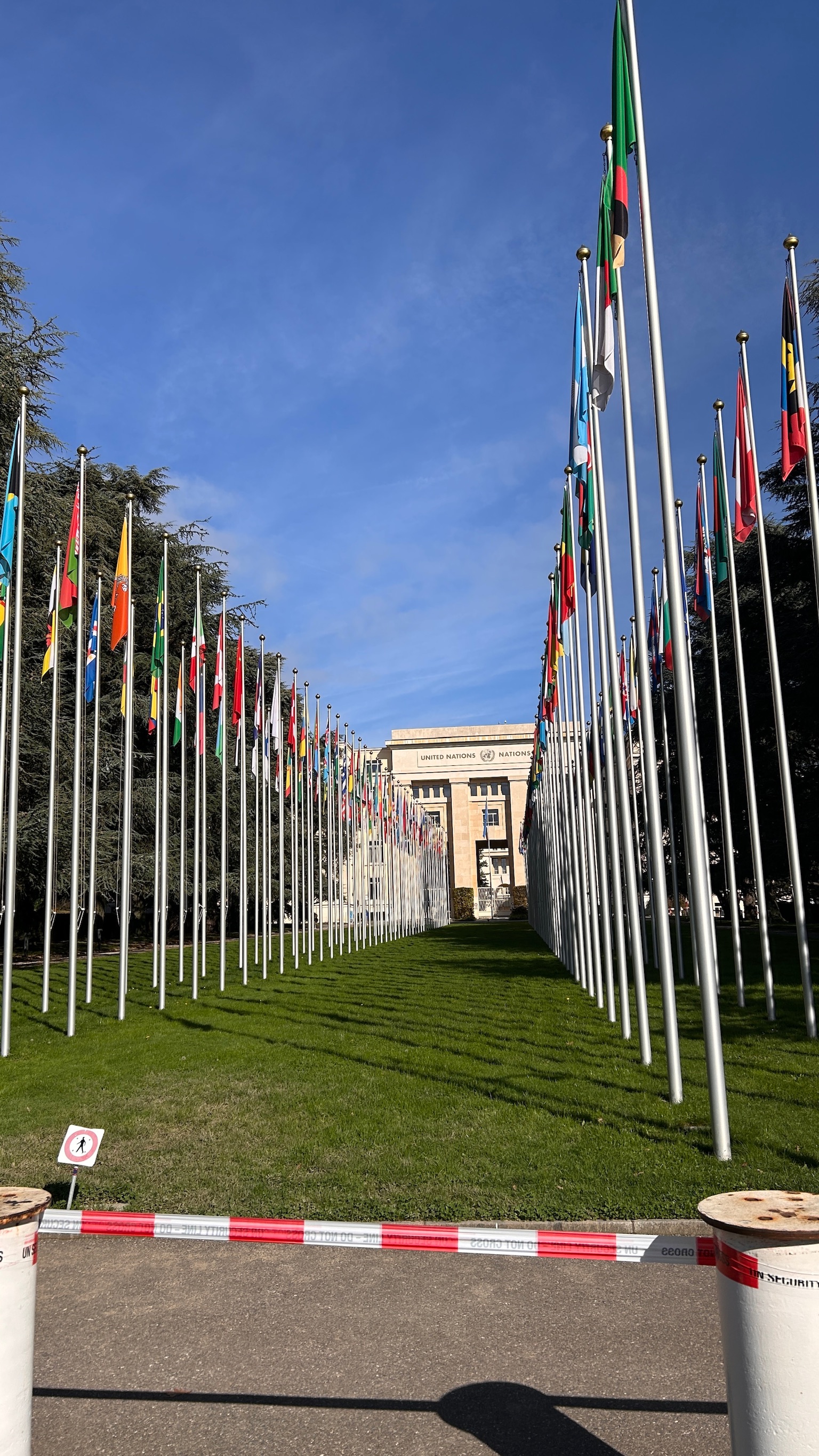 1733418252239462.jpg IMG_4202.JPG